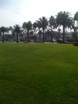 01_2009LosAngeles_Workouts_012.JPG